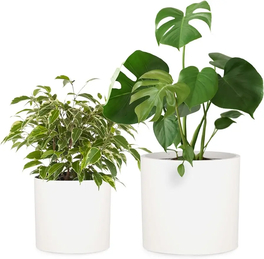 

Fox & Fern Plant Pots Indoor, Planters for Indoor Plants, Flower Pots - Fits Mid Century Modern Plant Stand - Drainage