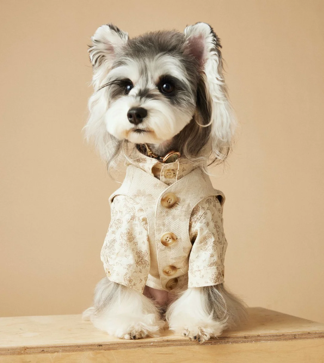 Luxury Dog Dress Bowknot Lace Summer Puppy Clothes Dog Skirts Cotton T Shirt Girls Costume Chihuahua