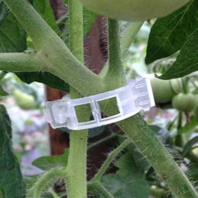 Tartós, Tiszta 50 db Kerti Növényi Paradicsom Szőlő Paprika Támogató Klipek Zöldségek Növénytípusokhoz Műanyag Lógás - Image 6