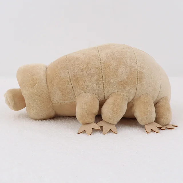 tardigrade plush pattern