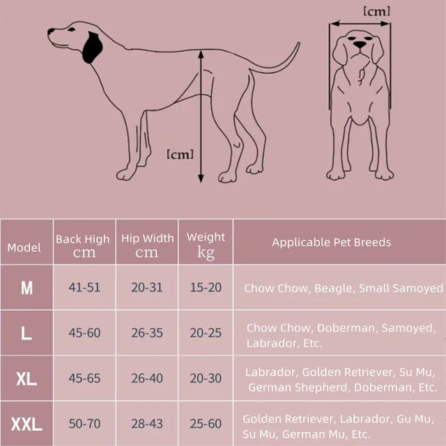 Medium and large dog wheelchair measurements