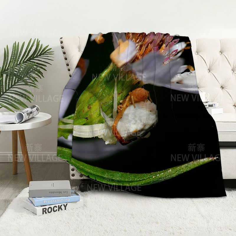 ���� ��信 ���� ����� ���� ���� ���� ���� ������ �ܿ� ħ�� Ŀ�� ���� ��� ���� ��� ����̾� �ö��� ������ ������ ��Ʈ ���Ÿ�