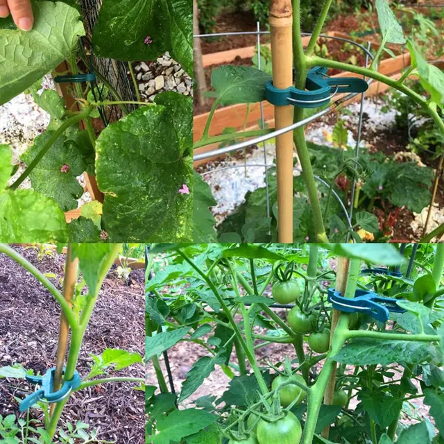 10 db Növényi Tartó Klipek Beállítva A Virágszőlő Kerti Paradicsom Klipeket Szárak Támogatására Szőlővel Egyenesen Mászó Szerszám - Image 4