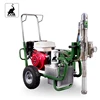 High Quality Gasoline Airless Sprayer With Flow 16L/min 5
