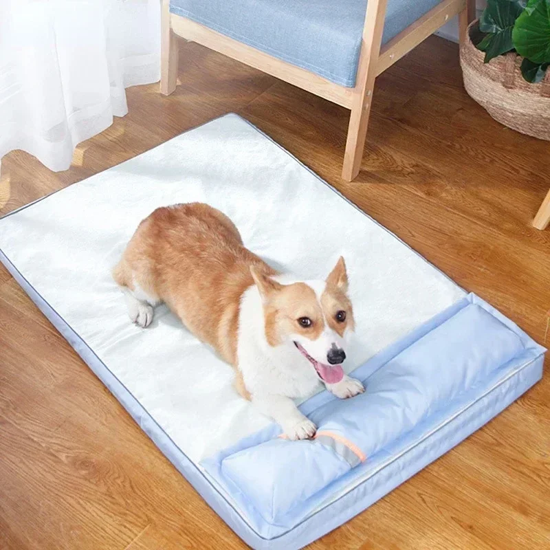 Sweet Summer. Cool Soup. Cool Soup. Dog Accessories Dog Beds Accessories