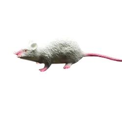 Lifelike Miniature Rat Prop for Halloween and Party Decor (WHITE)