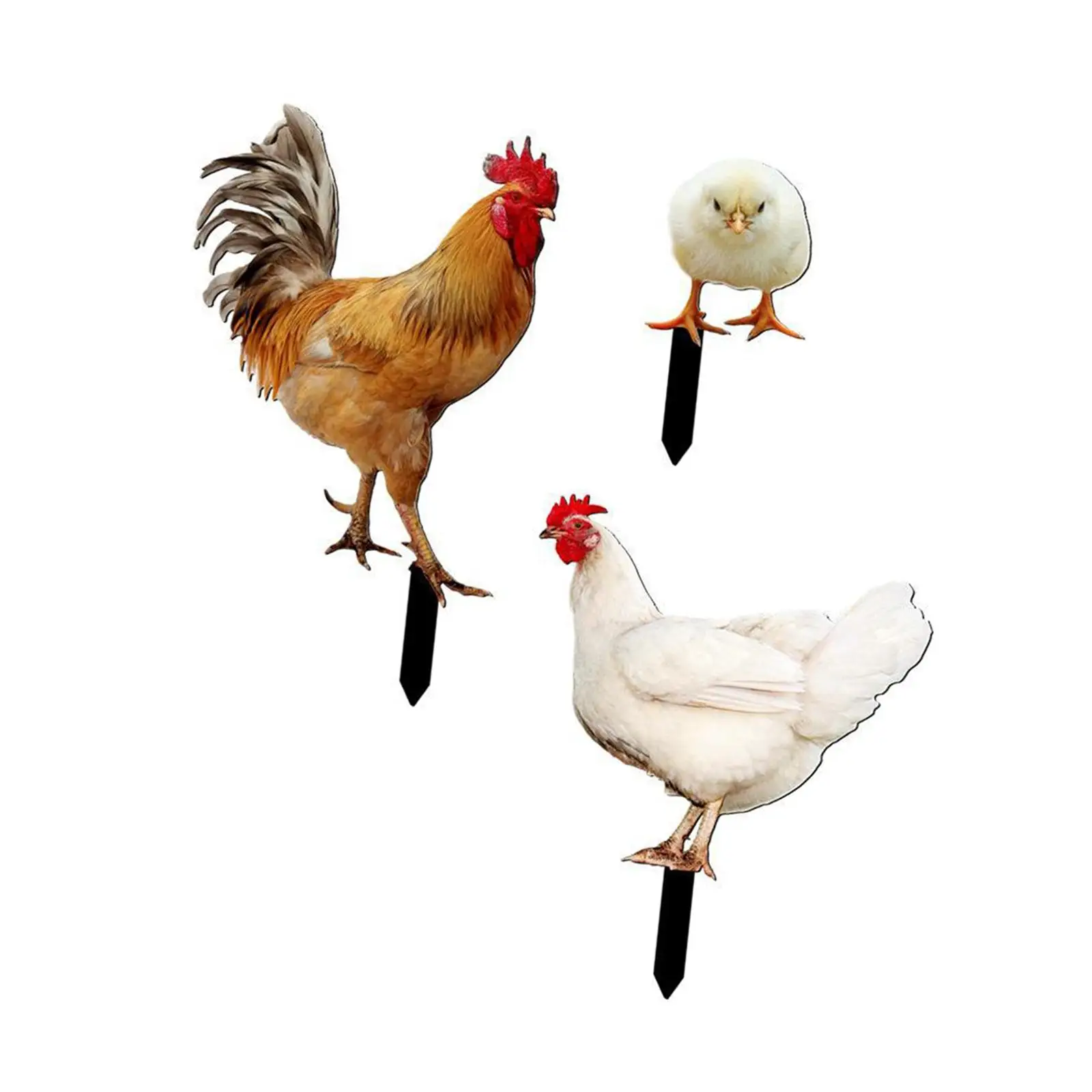 

Acrylic Roosters Signs Animal Statue Stakes Lifelike Decorative Art Decoration Set of 3 for Patio Courtyard Farm Lawn Outside