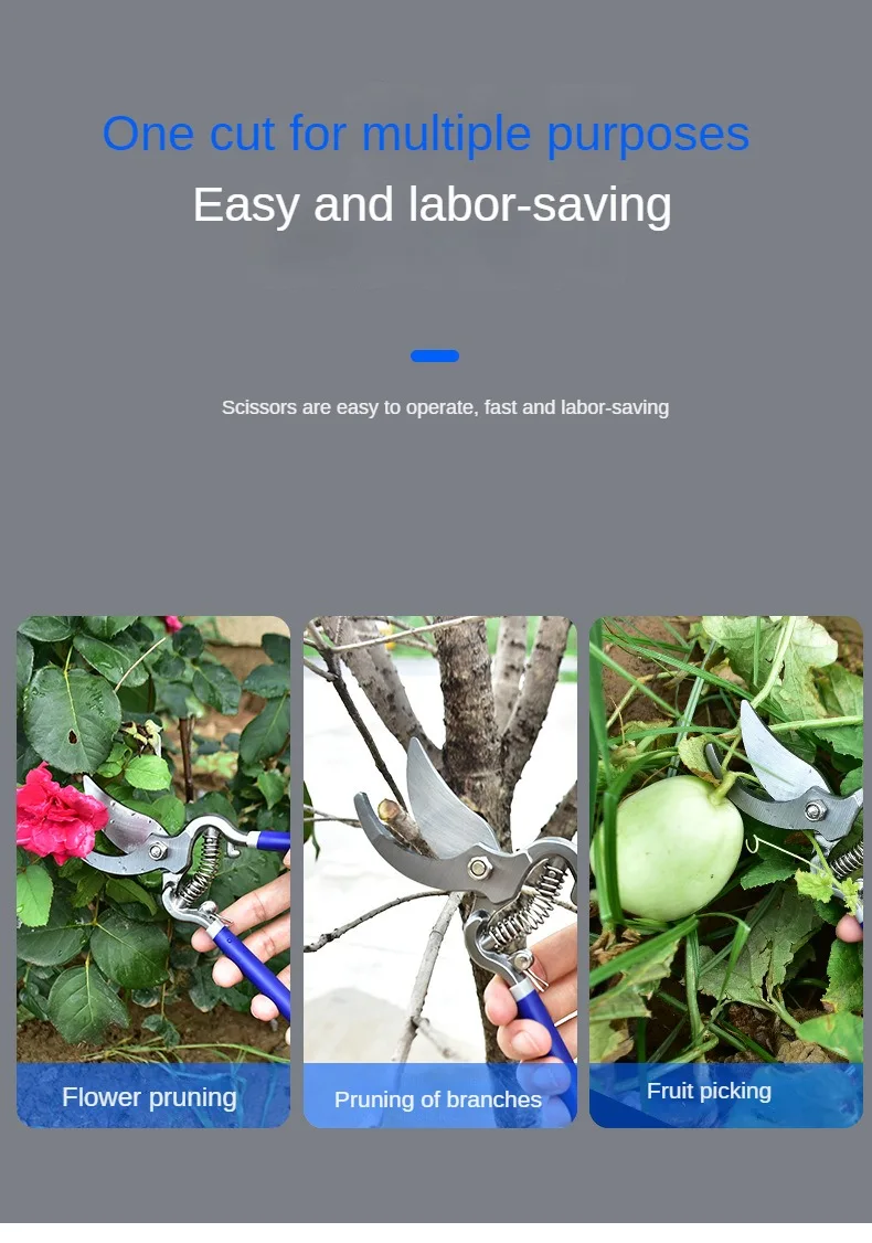 Description Picture 4 of itemGarden scissors manual pruning SK5 suitable for pruning bonsai fruit tree branches pruning pruning gardening tools 8/10 inches