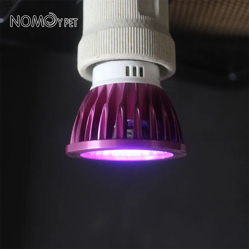 110/220V Reptile Night Lamp Imitation Moonlight Night Sleep Lighting Lamp Turtle Lizard Snake Reptile Amphibian Pets Accessories 4
