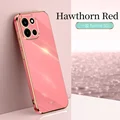 Hawthorn Red