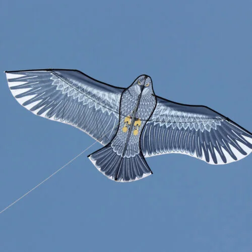 NEW Arrive Outdoor Fun Sports  59 Inch Eagle Kite With Handle And Line For Kids Or Adults Good Flying 3