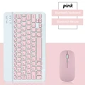 Pink-and mouse