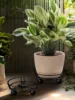 26589-5a5c61.jpg Iron Plant Stand Premium Heavy-Duty Black Wrought-Iron Round Pot Holder Corner Garden
