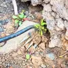Manganese Steel Garden Weeding Loose Soil Digging Vegetable Hand Rake Gardening Hoe Root Pulling Agricultural Weed Removal Tools 4