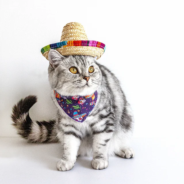 Mexican Dog Straw Hat Mini Dog Hat Handcrafted From Natural Fabrics And Straw Durable Pet Sun Hats Suitable For Small Pets/Puppy 4