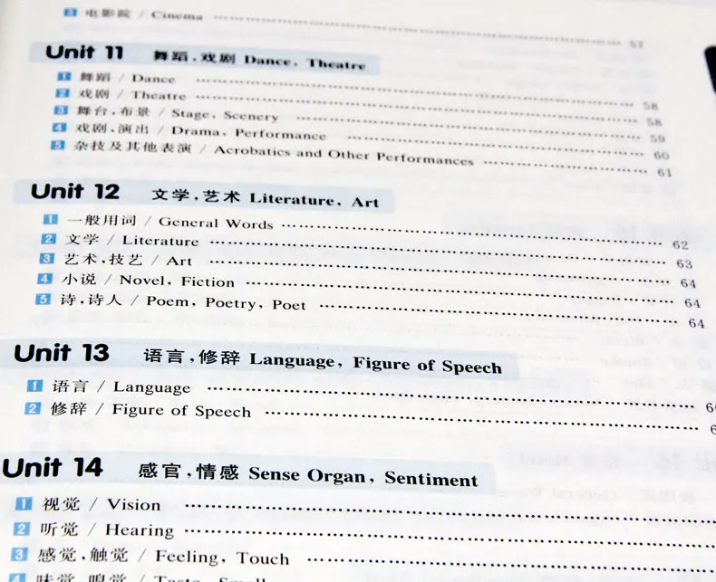 Рисунок 6 - Английский Voca, китайский английский