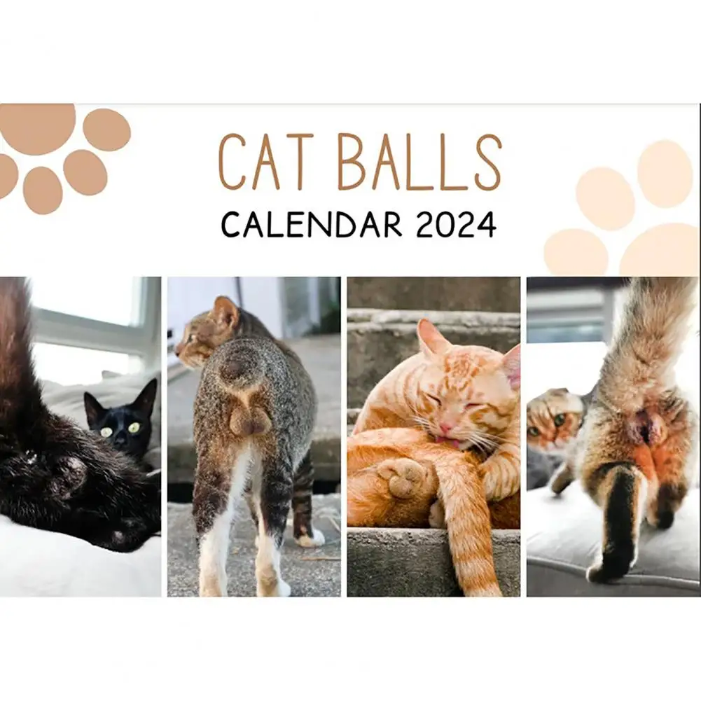 

Wall Calendar Decor 2024 Hilarious Cat Butt Wall Calendar Whimsical Patterns Durable Pages Cat Butthole Planner Wall Decor