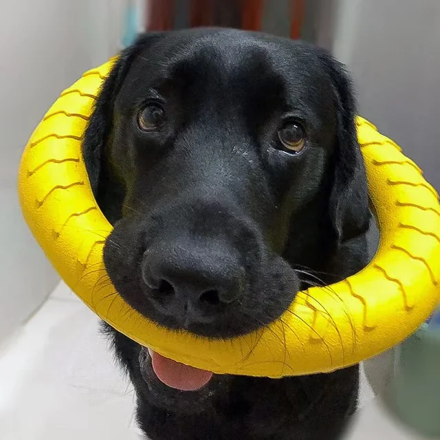 Dog Ring Toys Indestructible Chewing Flying Floating Training Tools Fetch for Small Medium Large Dogs Throwing Catching Flying Dog Ring Toys Indestructible Chewing Flying Floating Training Tools Fetch for Small Medium Large Dogs Throwing Catching Flying