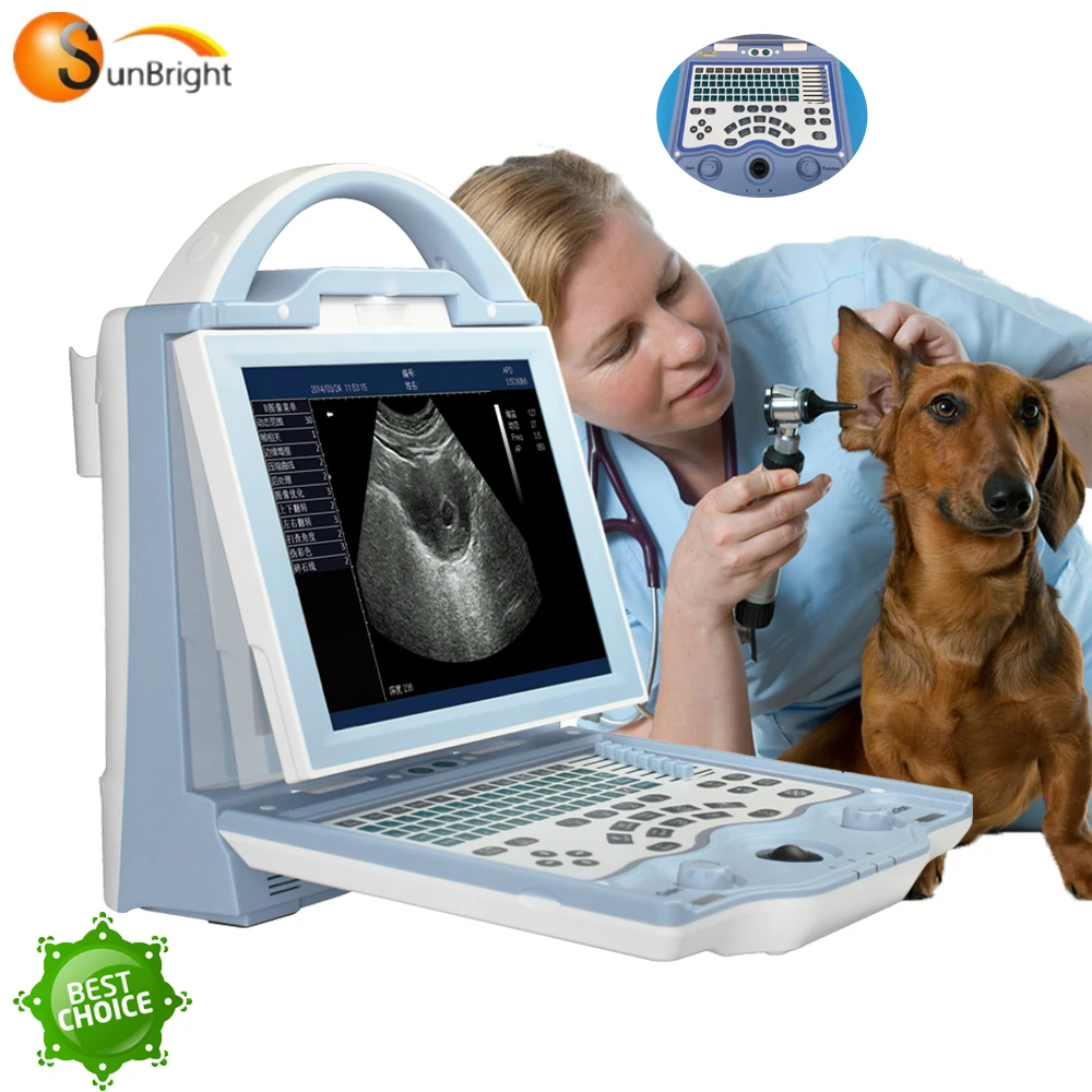 

CE Vet ultrasound device dp 10 vet portable veterinary