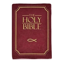 A74E-Cozy Faith Bible Pillow - Plush Book Shape With Bible Verse, Perfect Christian Gift For Kids And Adults 1