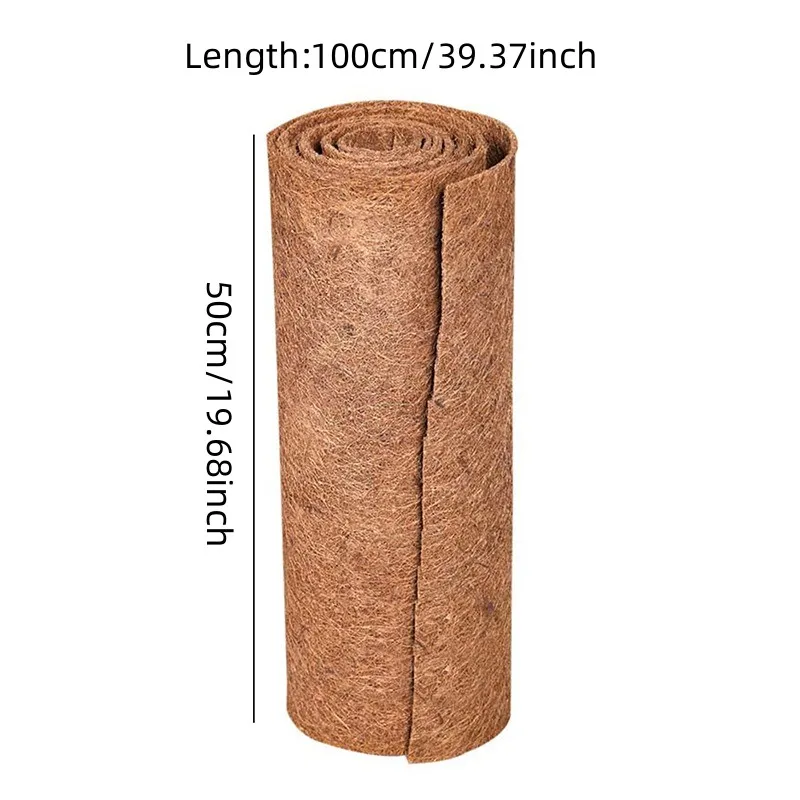 100cmx50cm