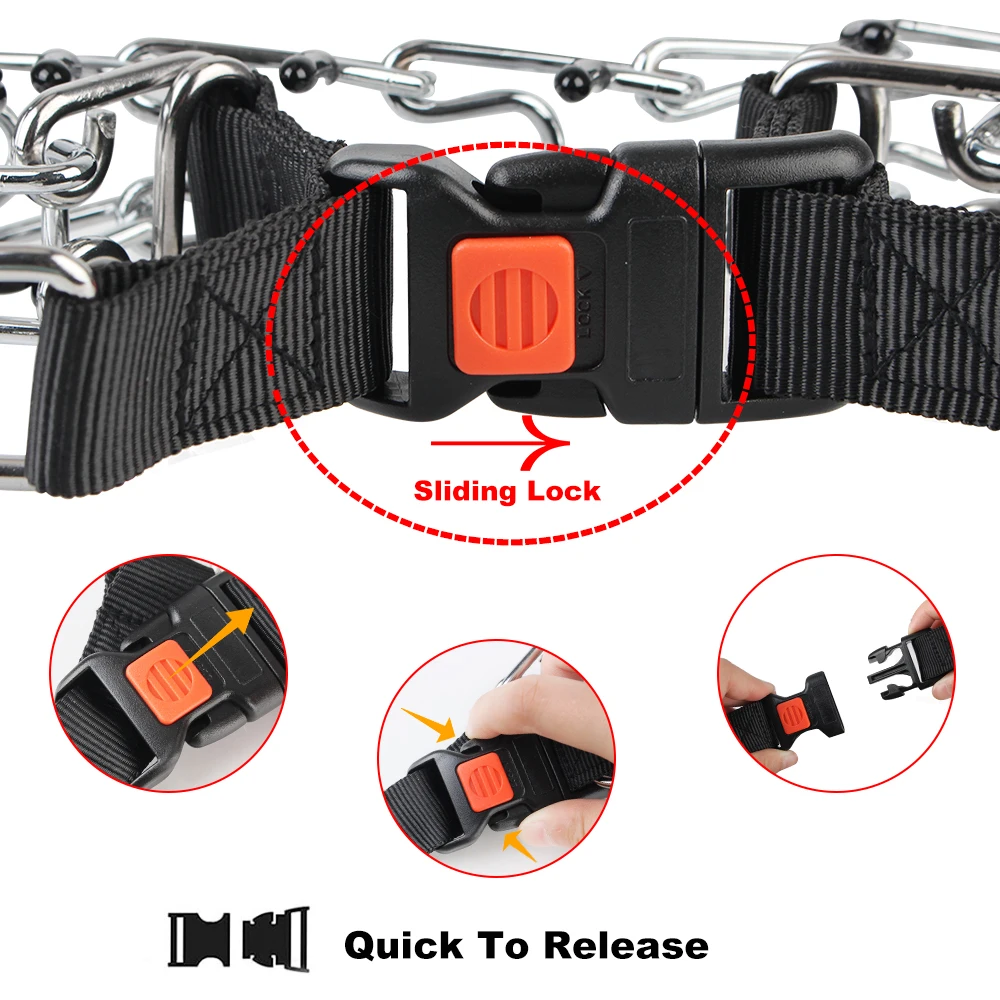 Effective Training Pet Collar for Small to Large Dogs