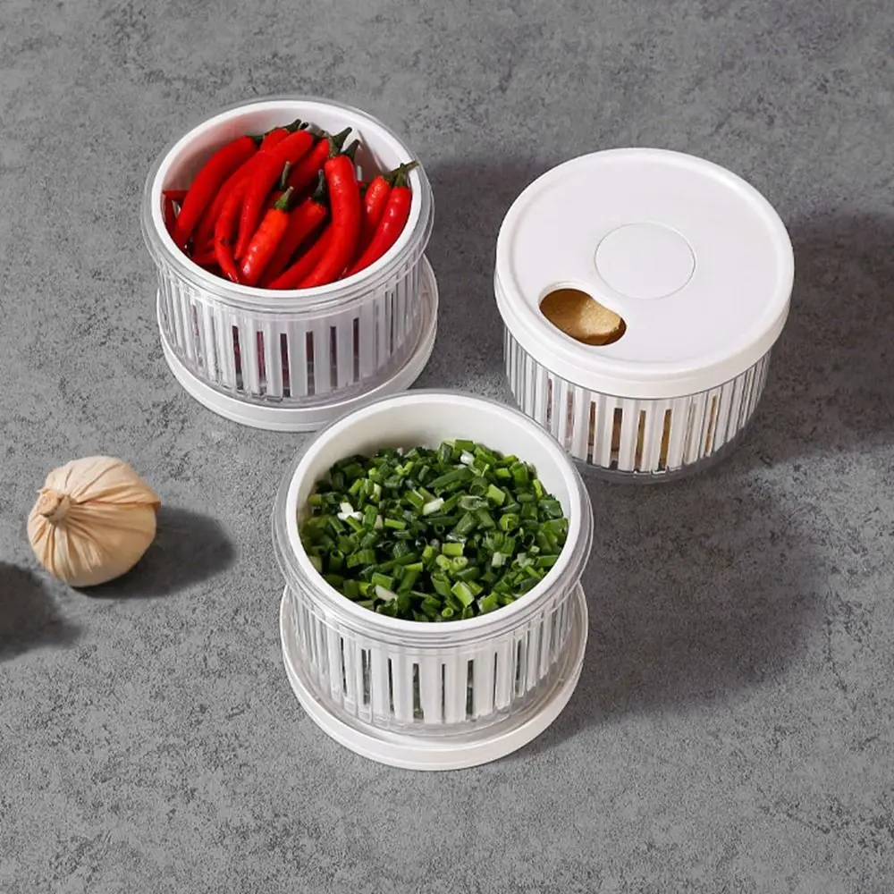 

Double Layer Round Drain Storage Box Plastic Dustproof Scallion Crisper Fresh-Keeping Sealed Refrigerator Storage Box