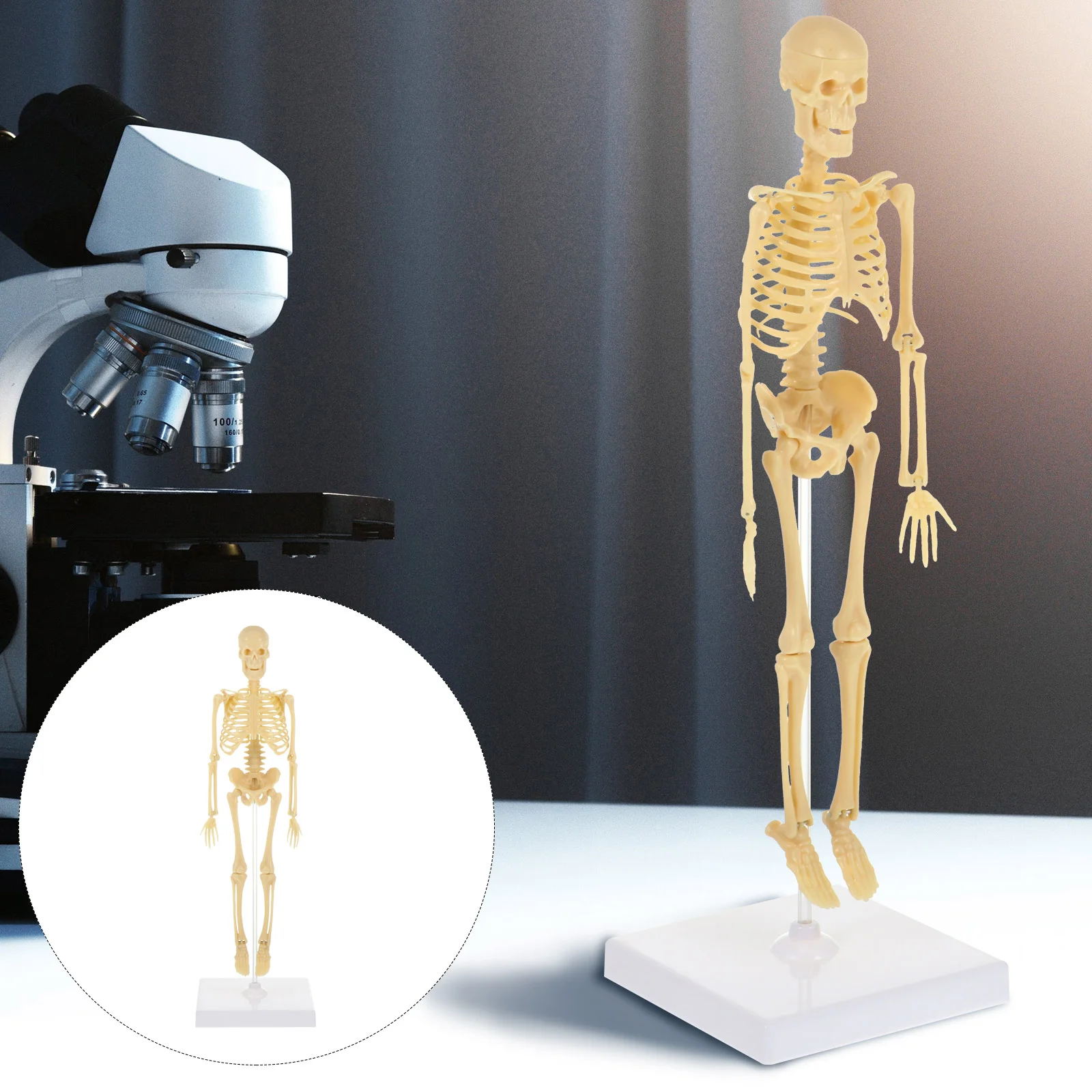 

Kidcraft Playset Human DIY Assembly Manikin Simulation Mannequin Plastic Mini Model Student