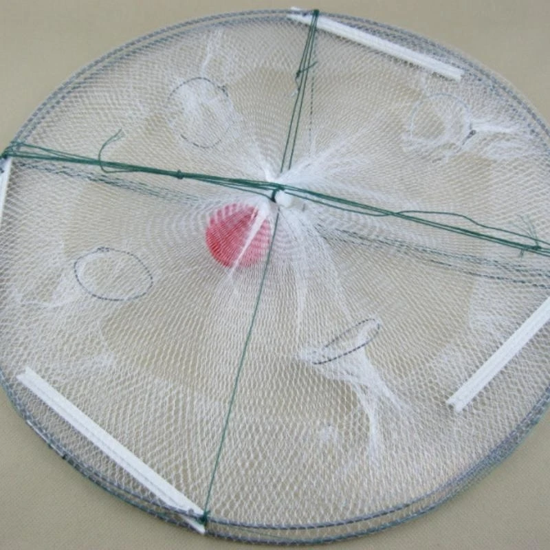 Slide image 79f1074d29204fde80dd917b4e28be1b