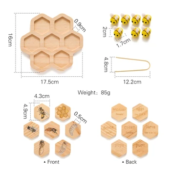 Honeybee Growth Cycle Cognitive Card - Wooden Toys 6