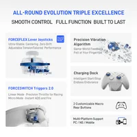 Flydigi Direwolf 4 Wireless Gamepad Controller Wired Gaming Console Support PC /Switch/Phone/Tablet Computer Video Gaming Player 2