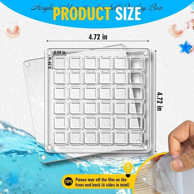 Grids Seashell Display Box Acrylic Magnetic Seashell Display Case Organizer Box Stackable Small Craft Compartment Boxd Bins 5