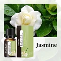 Jasmine