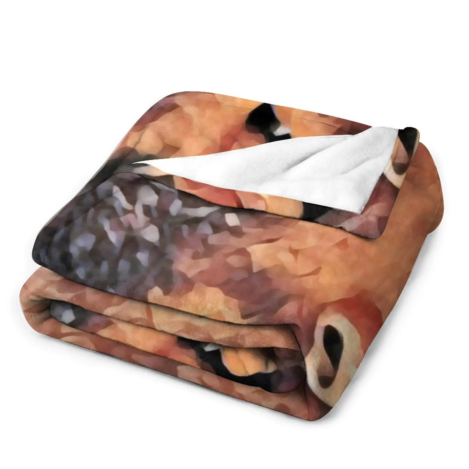 ���Ŀ� Ű�� ������ ���, �ڽ����� �ִϸ��̼� ������ ���, �ε巯�� �÷��� ���� ����