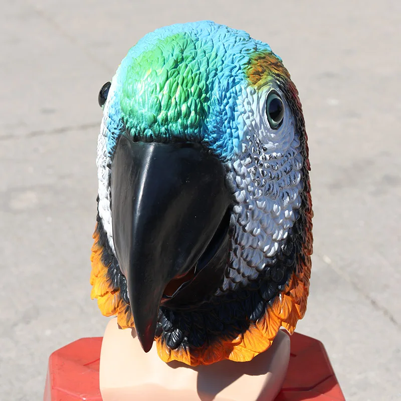 Gli Stili Maschera Pappagallo In Lattice Assortiti Aggiungono Un Tocco - Foto 4