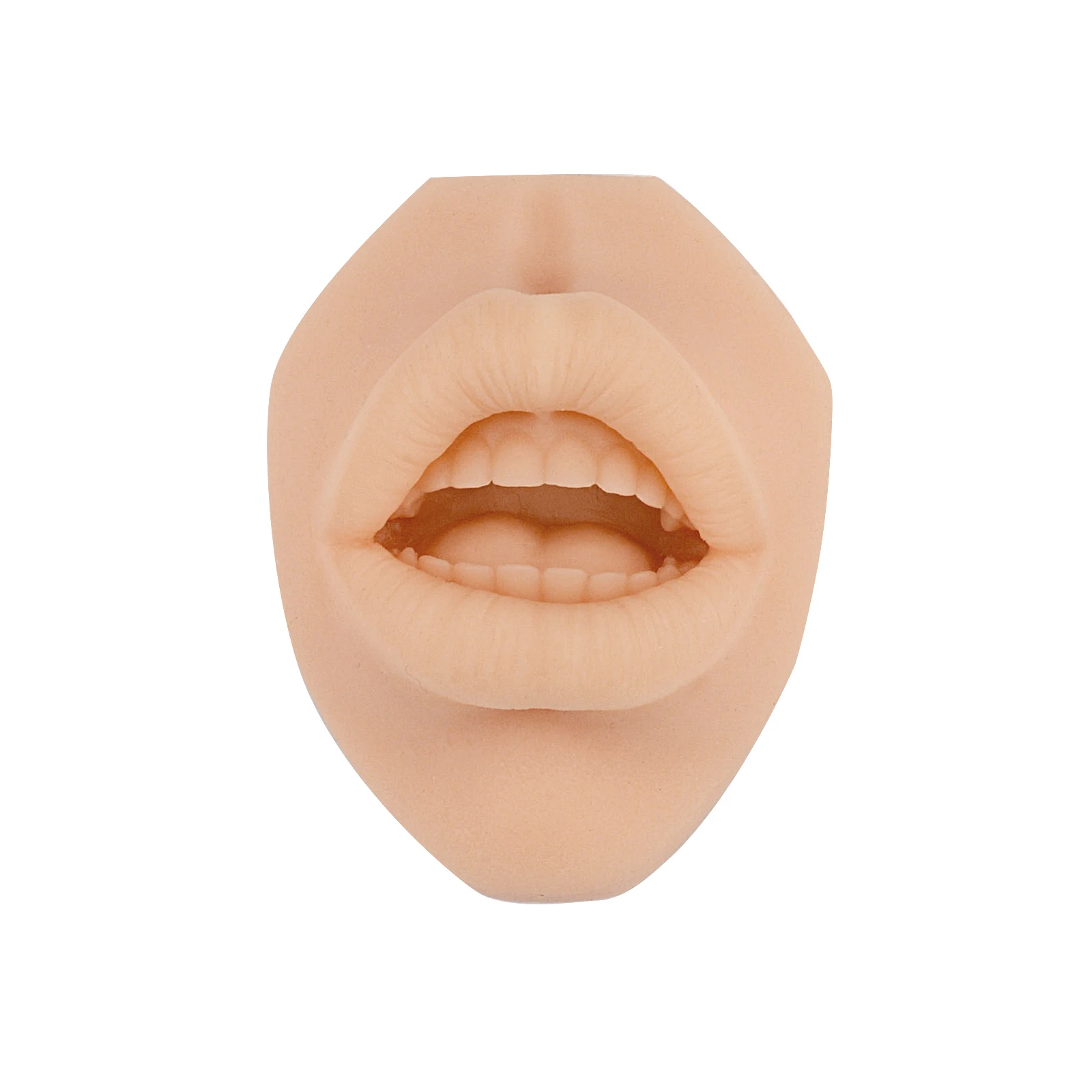Simulate mouth model perforation, puncture, suture practice, mouth model, lip nail, nail display model