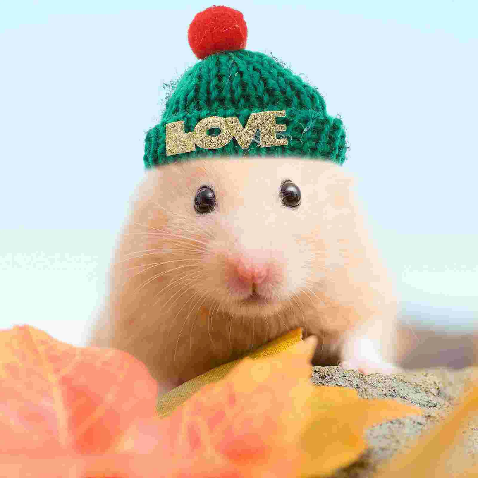 

3 Pcs Hand Knitted Small Animal Hat with Adjustable Straps Fits Hamster Hedgehog Santa Prop Pet Hats Tiny Ornaments Rabbit Mini