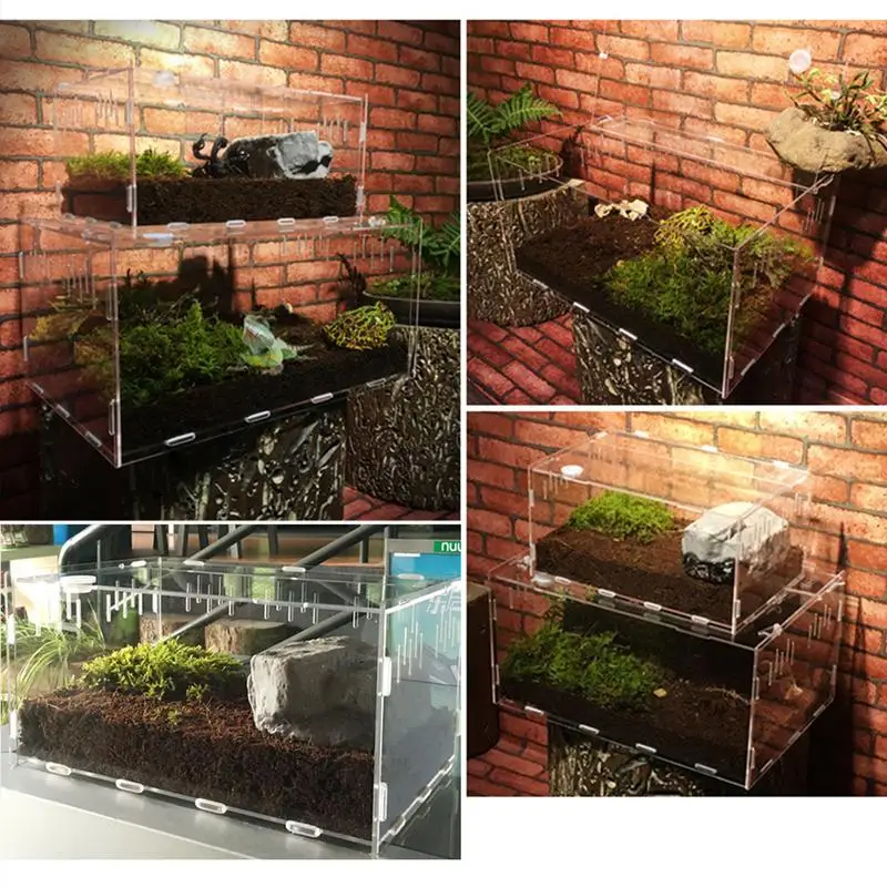 Custodia Per Tarantula Habitat Di Alimentazione Trasparente Per Tarantola Mini Pet House Per Ragni Scorpioni Manties In Preghiera Allevamento Di Serpe