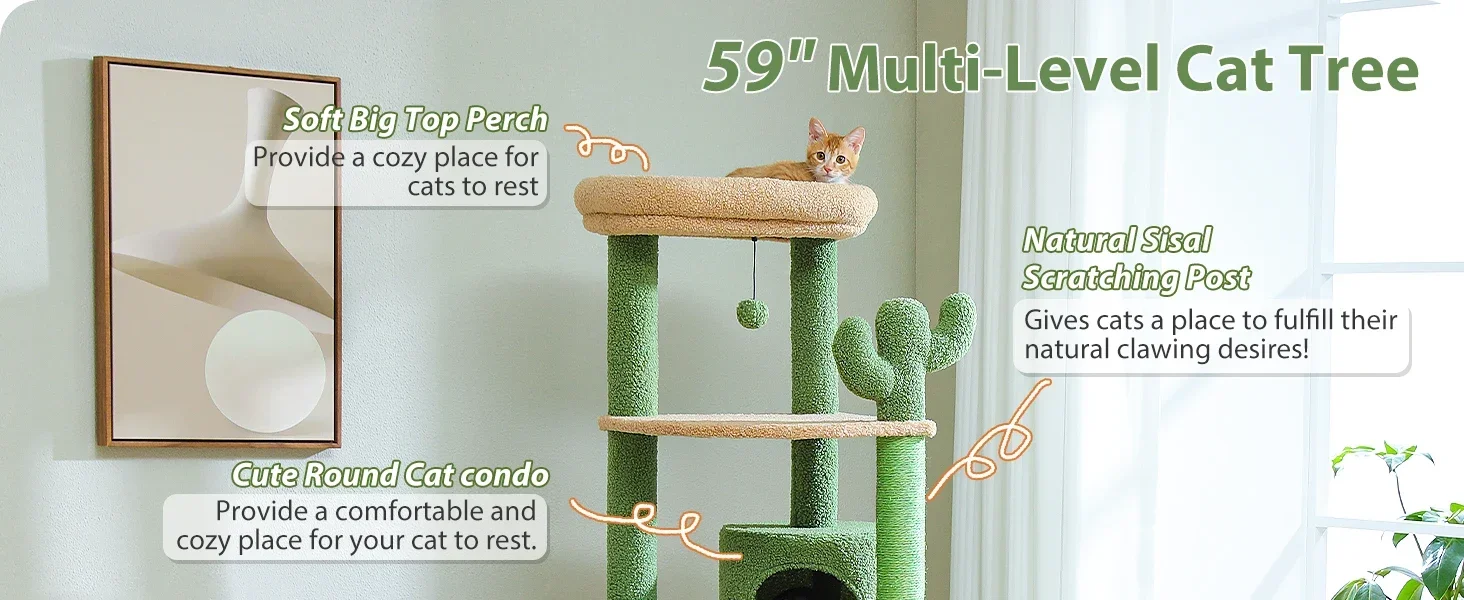 Multi-Level Cat Tree