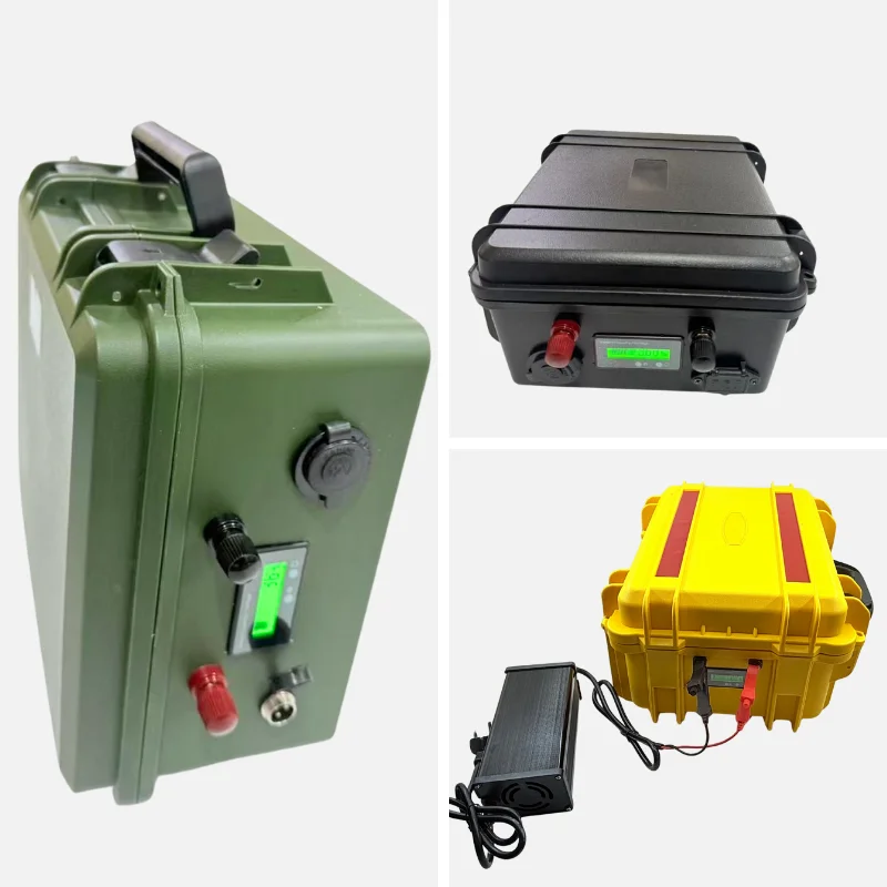 Portable Power Module for Outdoor and Backup Applications
