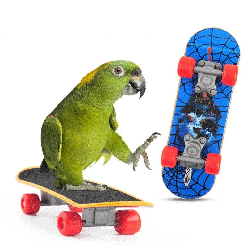 

Mini Skateboard for Parrot, Skates for Birds, Lizards, Reptiles, Accessories Supplies, Claw Grinding Toy
