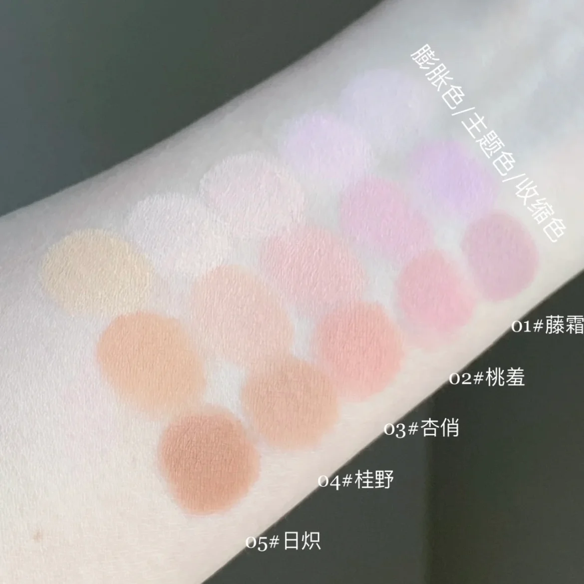 TIMAGE 3 Color Blush Palette Plump Cheeks Natural Contour with Pink Purple Apricot Shades Makeup 13g images - 6