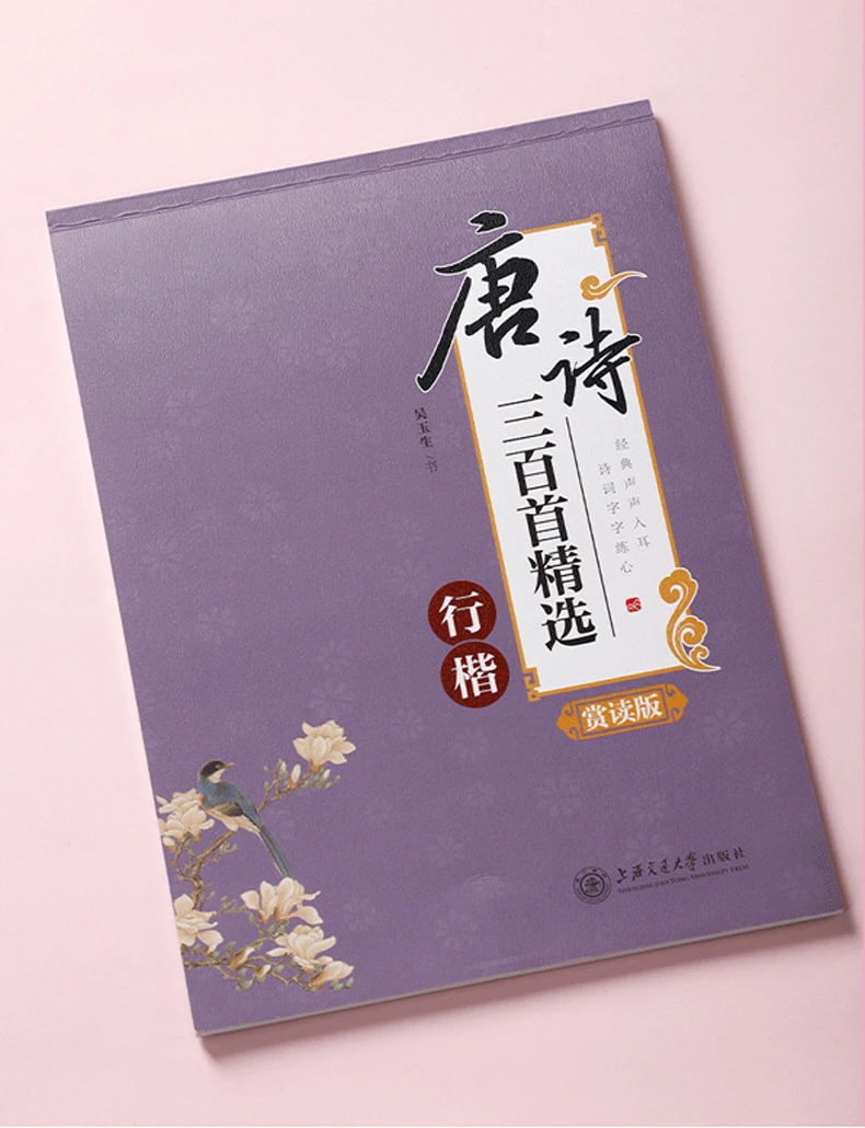 Tian Yingzhang Hard Pen Regular Script Copybook Chinese Tang Poems Song Ci Copybook Running Regular Script Copying Textbook – Detail 7