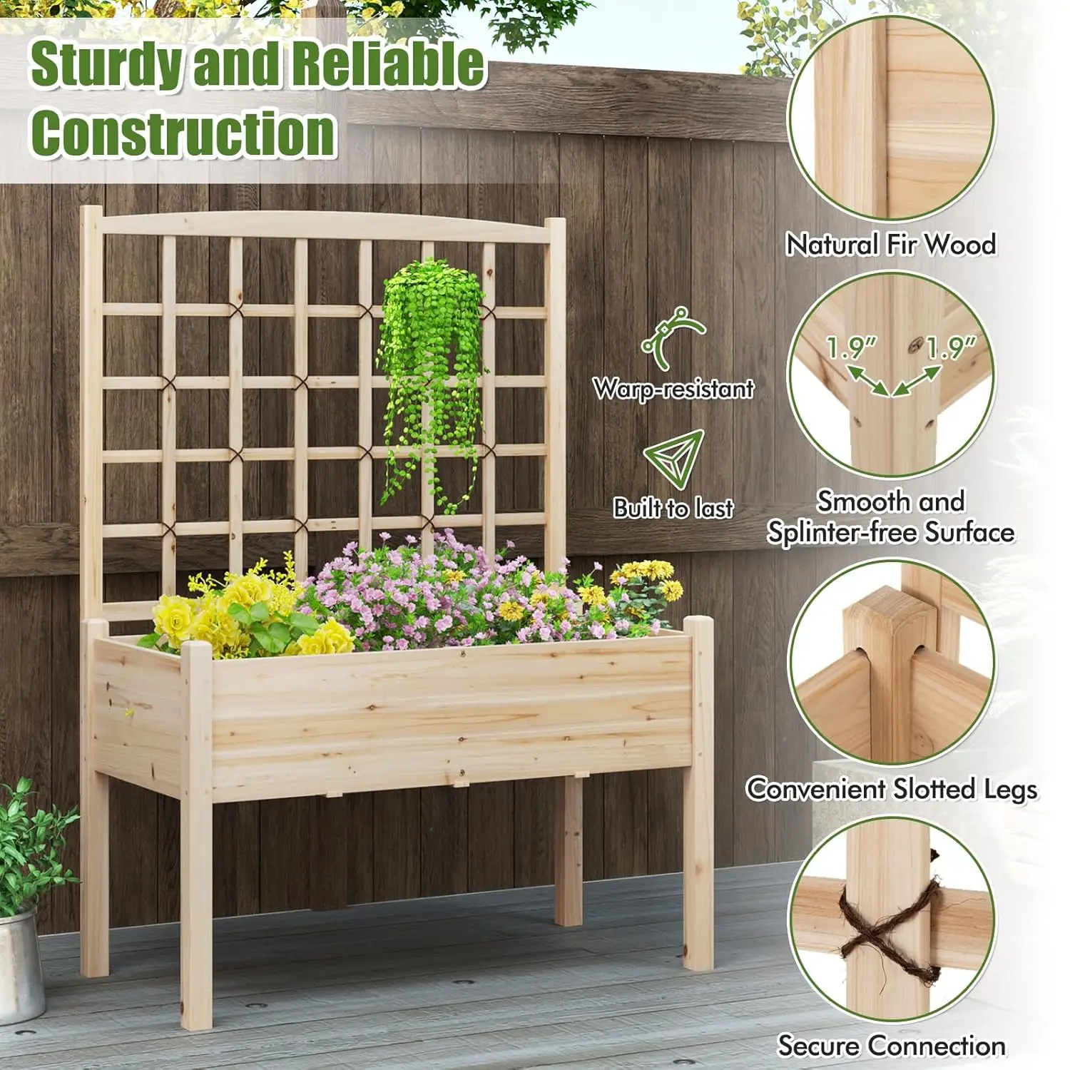 产品图片 5