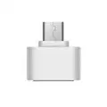 Only Adapter