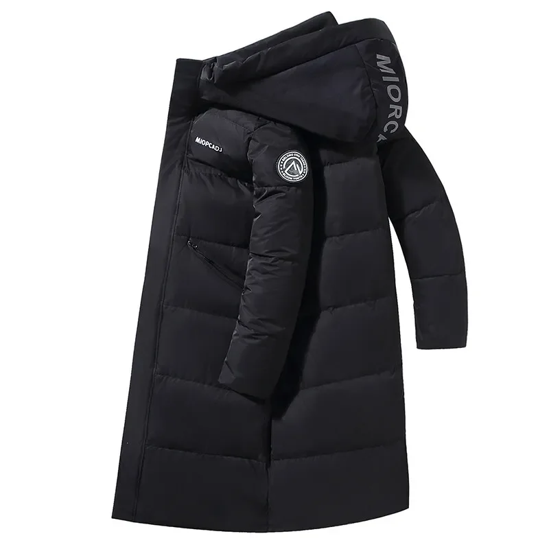 Libcflcc Winter Down Coat Winter Down Coat Contrast Color Windpr 並行輸入品 JDY JDYULRIKKA - Winter coat - black -