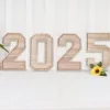 Large Wooden Number Charcuterie Board Fillable Practical Wood Number Serving Tray Decorative Number Food Tray Baby Birthday 4