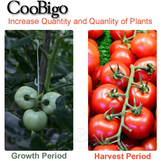 100Db J Alakú Horgok Markolat Paradicsom Zöldség Gyümölcsök Cseresznye Szőlő Üzem - Image 2