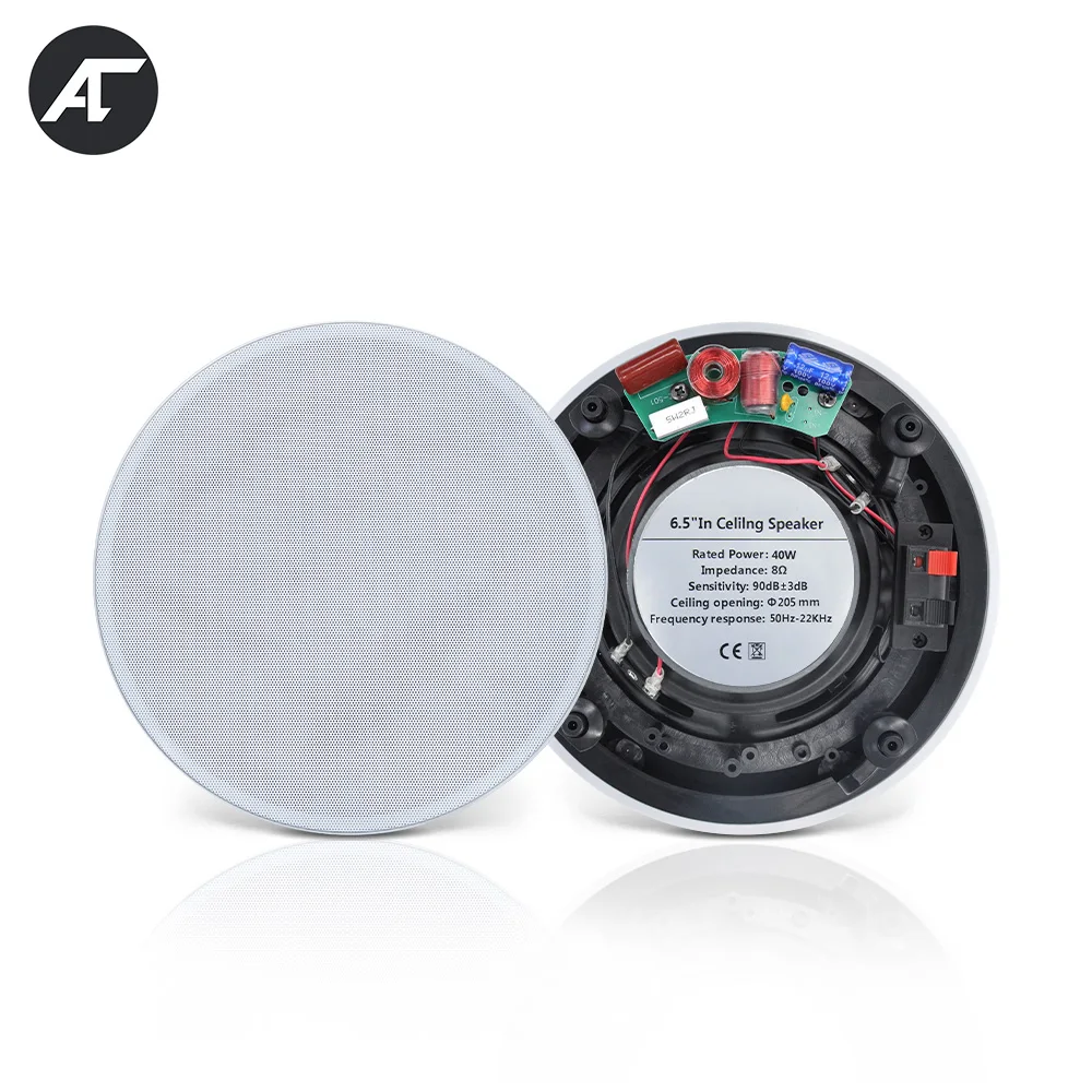 Powerful 40W Ceiling Speaker 6.5 inch Coaxial Loudspeaker HiFi Stereo Public Broadcast Home Background Music System In-wall Horn