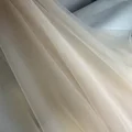 Light Champagne